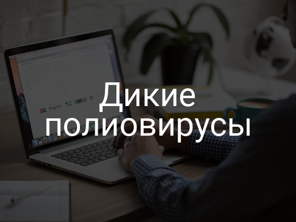 Дикие полиовирусы