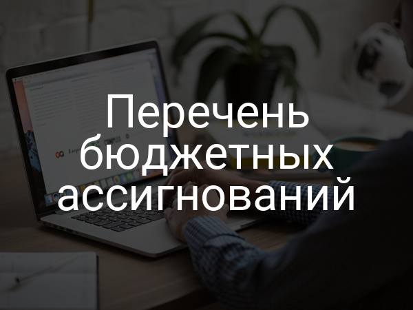 Перечень бюджетных ассигнований