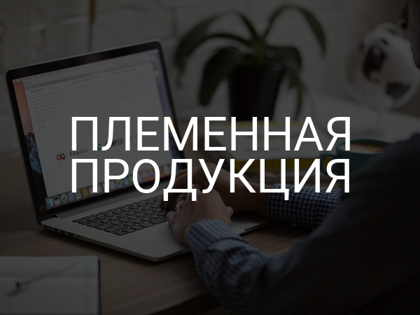 Племенная продукция