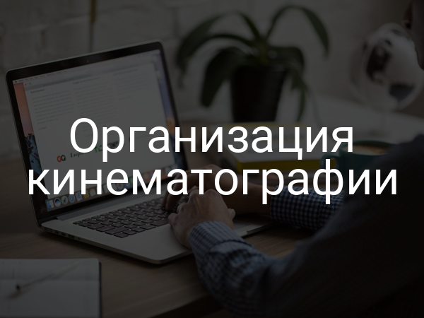 Организация кинематографии