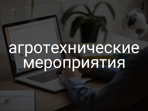 Агротехнические мероприятия