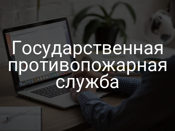 Государственная противопожарная служба
