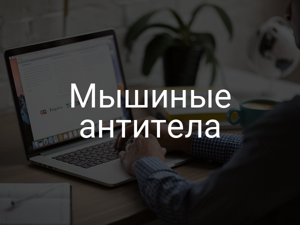 Мышиные антитела