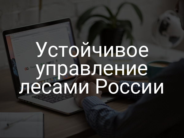 Устойчивое управление лесами России