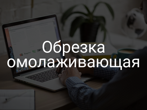 Обрезка омолаживающая