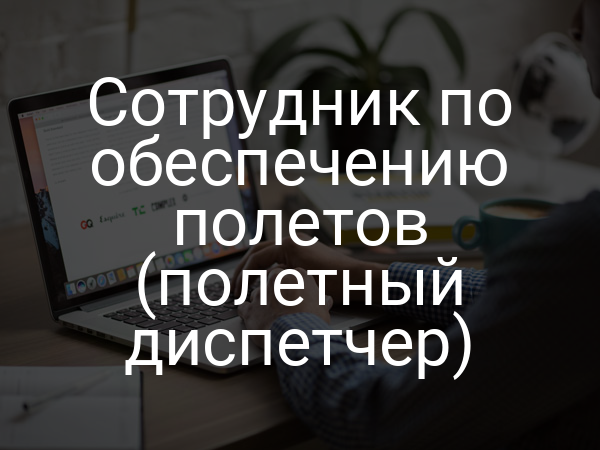 Сотрудник по обеспечению полетов (полетный диспетчер)