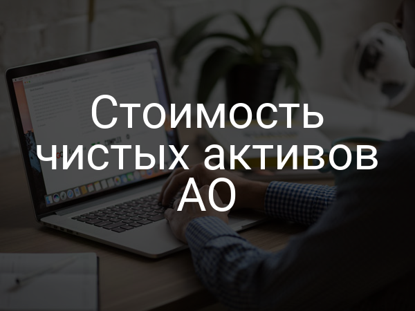 Стоимость чистых активов АО