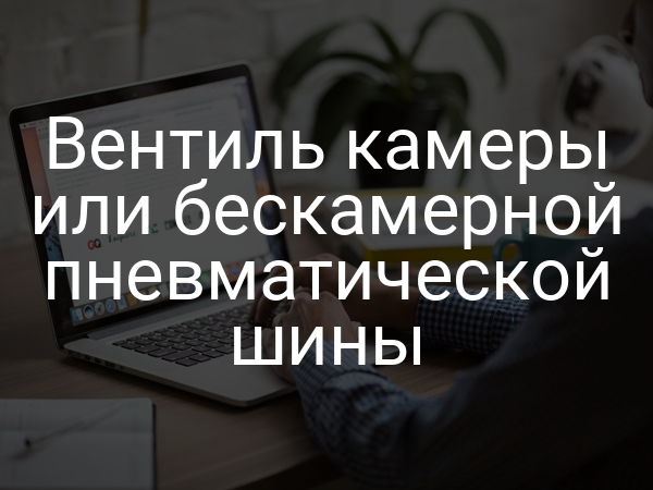Вентиль камеры или бескамерной пневматической шины