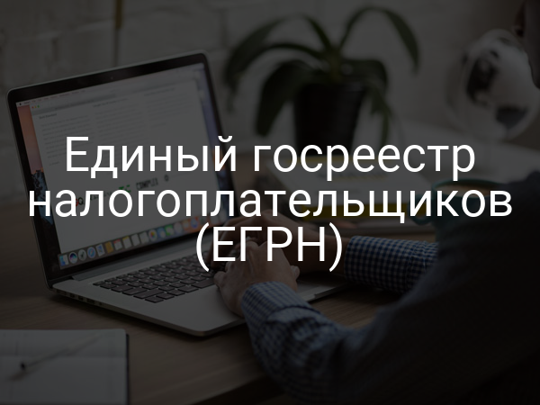 Единый госреестр налогоплательщиков (ЕГРН)
