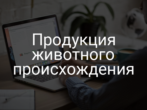 Продукция животного происхождения