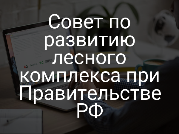 Совет по развитию лесного комплекса при Правительстве РФ