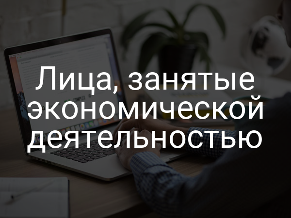 Лица, занятые экономической деятельностью