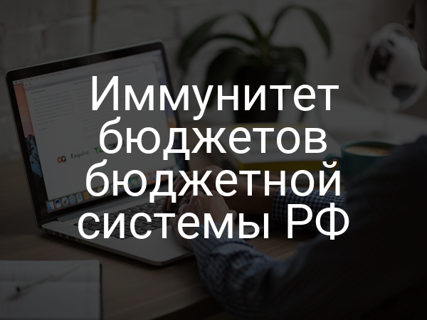 Иммунитет бюджетов бюджетной системы РФ