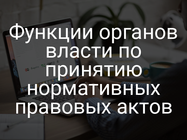 Функции органов власти по принятию нормативных правовых актов
