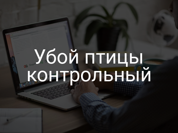 Убой птицы контрольный