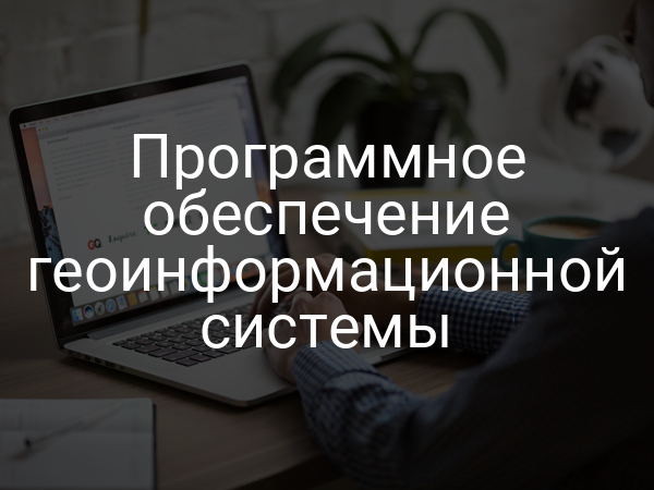 Программное обеспечение геоинформационной системы