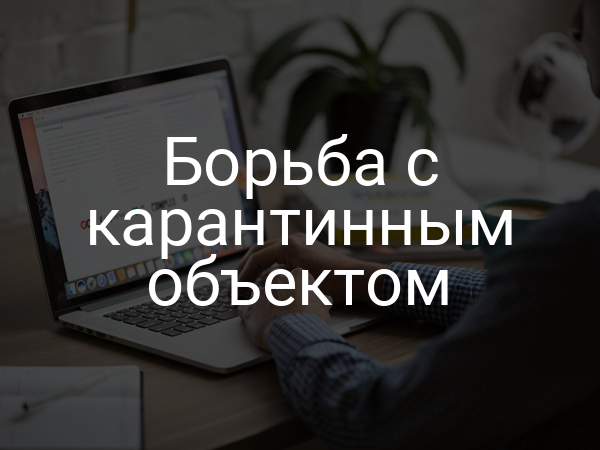Борьба с карантинным объектом