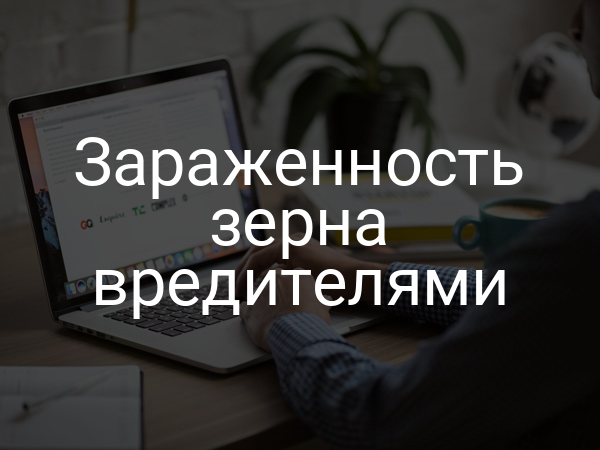 Зараженность зерна вредителями