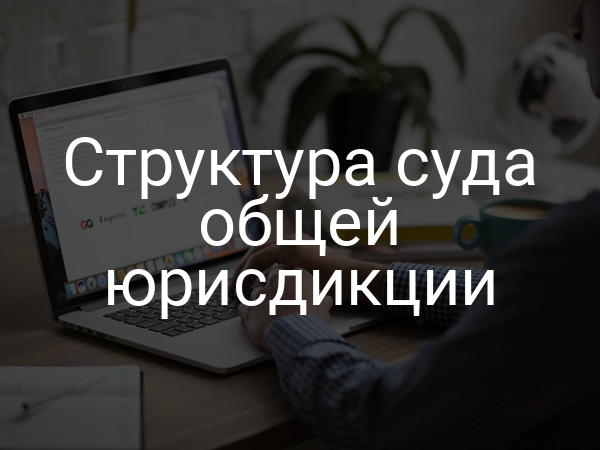 Структура суда общей юрисдикции