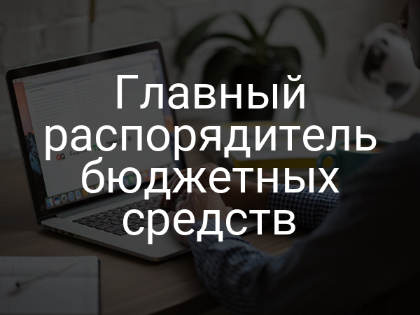 Главный распорядитель бюджетных средств