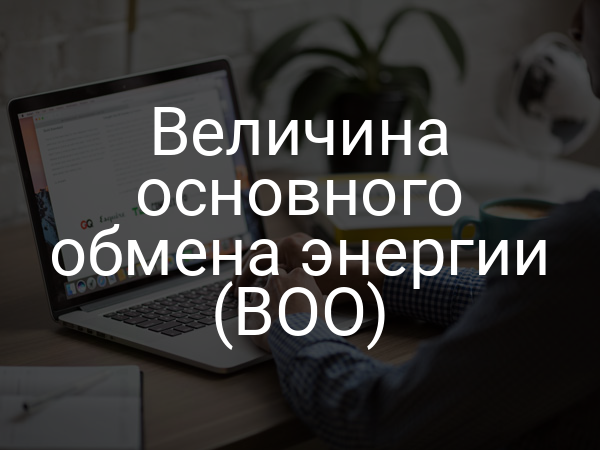 Величина основного обмена энергии (ВОО)