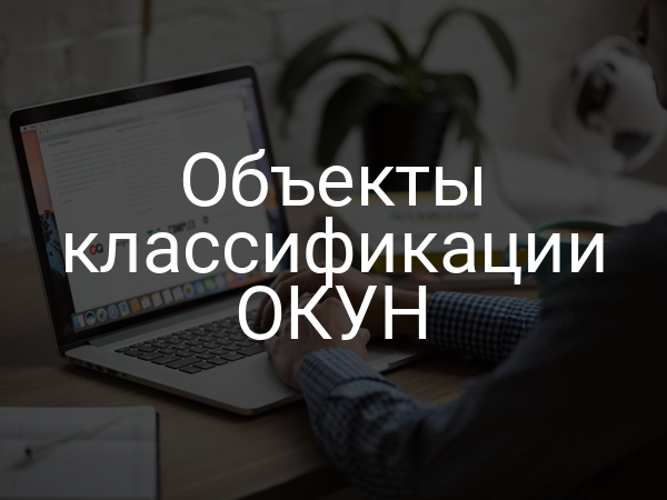 Объекты классификации ОКУН