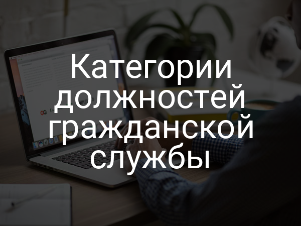 Категории должностей гражданской службы