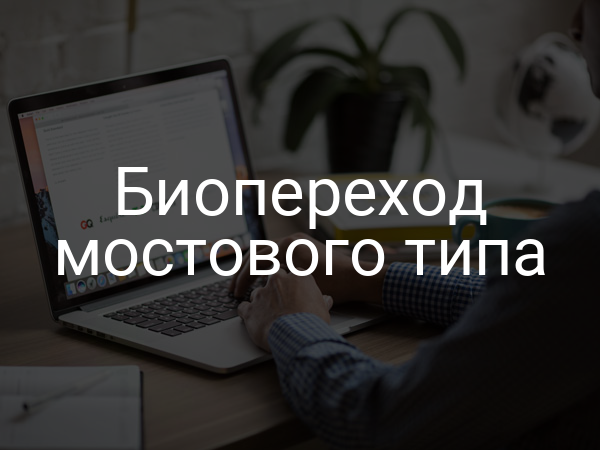 Биопереход мостового типа