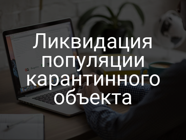 Ликвидация популяции карантинного объекта