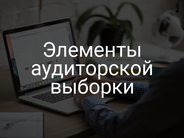 Элементы аудиторской выборки