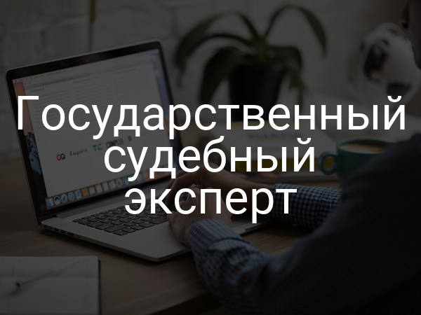 Государственный судебный эксперт