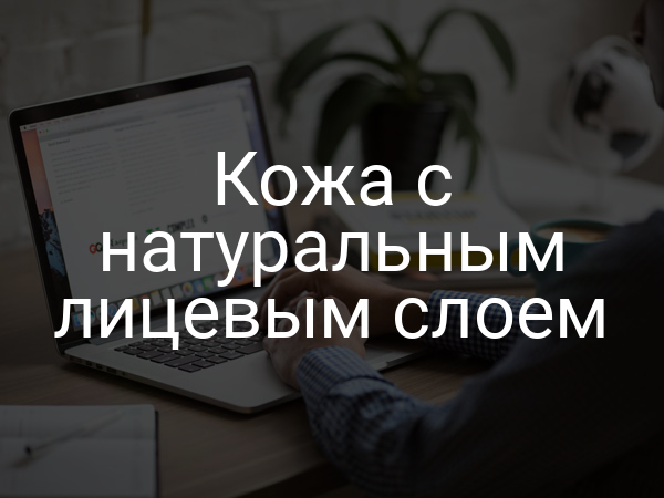 Кожа с натуральным лицевым слоем