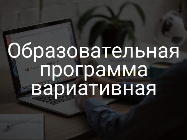 Образовательная программа вариативная