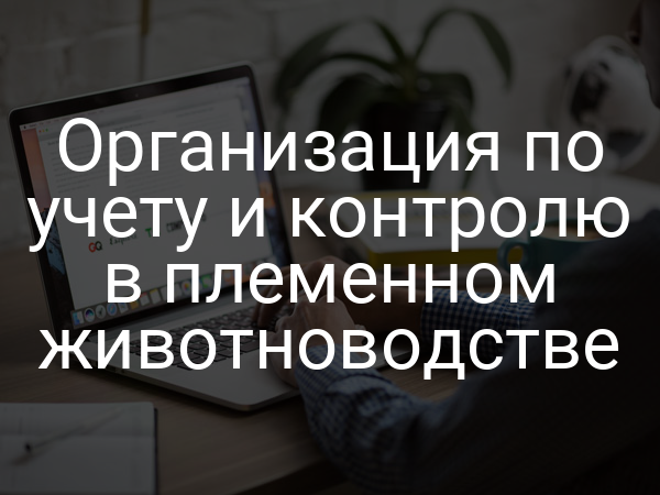 Организация по учету и контролю в племенном животноводстве