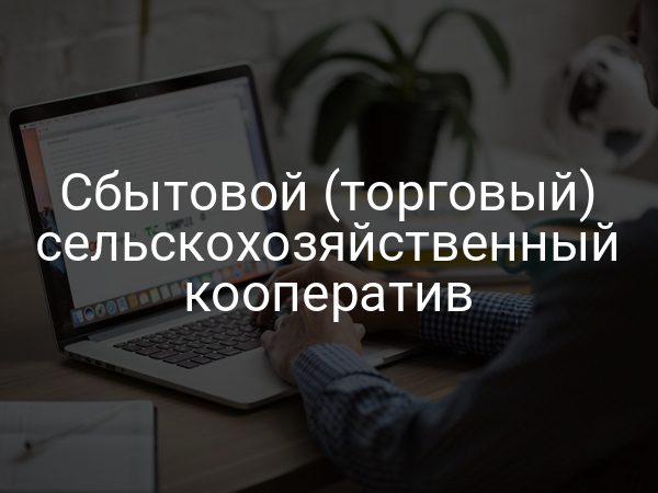 Сбытовой (торговый) сельскохозяйственный кооператив