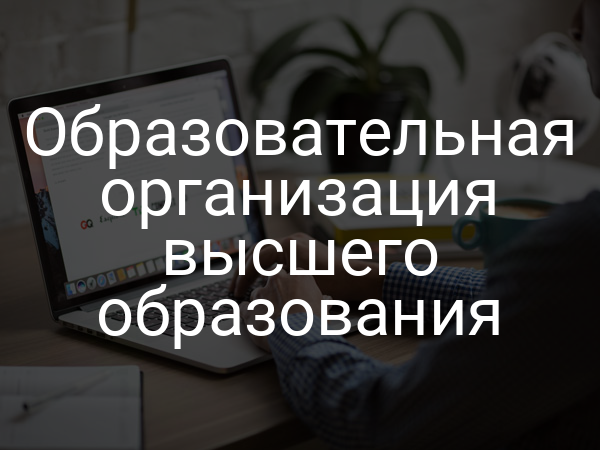 Образовательная организация высшего образования
