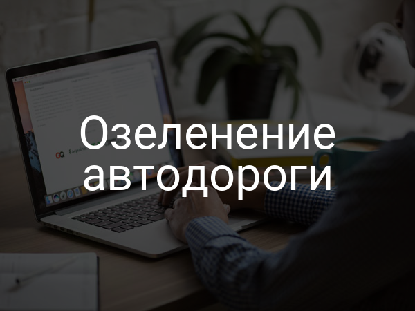 Озеленение автодороги