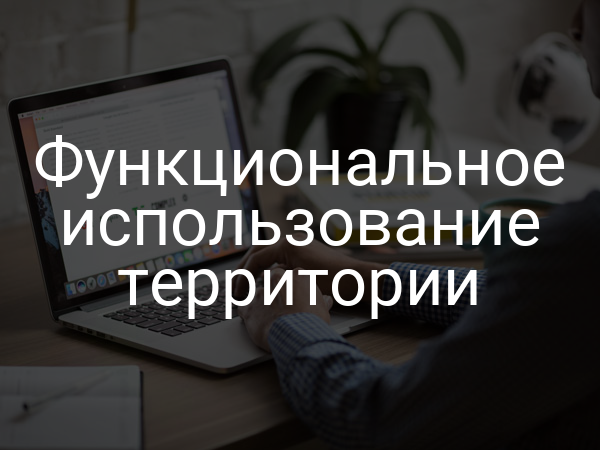Функциональное использование территории