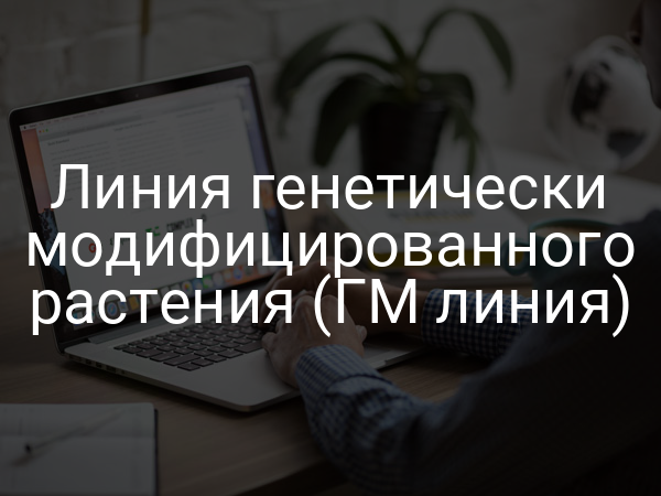 Линия генетически модифицированного растения (ГМ линия)