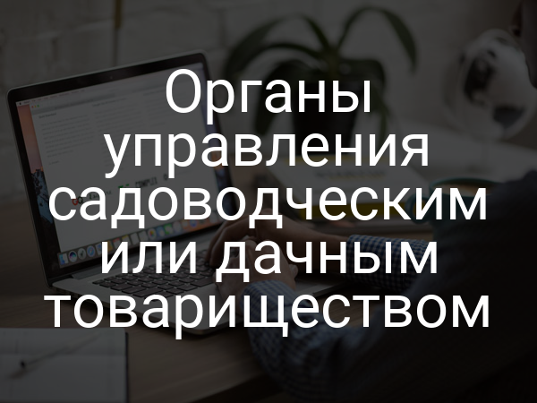 Органы управления садоводческим или дачным товариществом