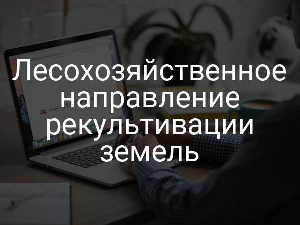 Лесохозяйственное направление рекультивации земель