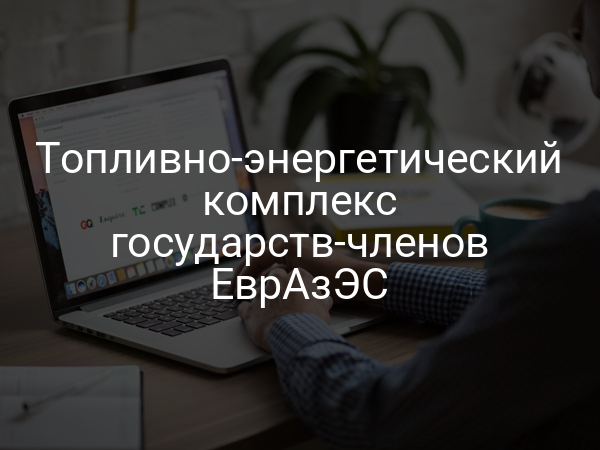 Топливно-энергетический комплекс государств-членов ЕврАзЭС