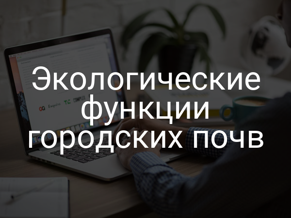 Экологические функции городских почв
