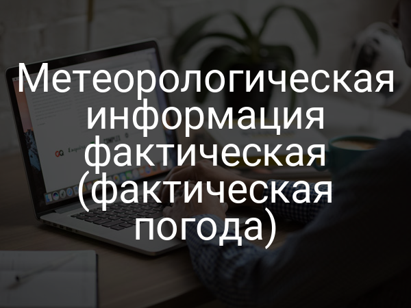 Метеорологическая информация фактическая (фактическая погода)