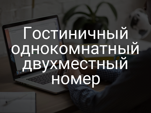 Гостиничный однокомнатный двухместный номер
