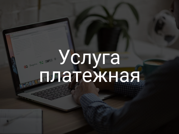 Услуга платежная