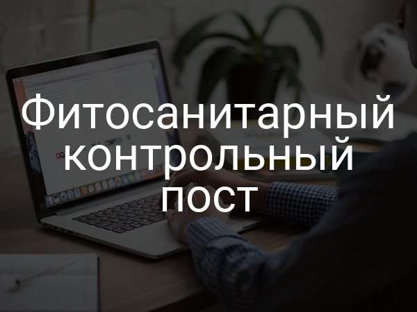 Фитосанитарный контрольный пост