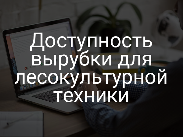 Доступность вырубки для лесокультурной техники