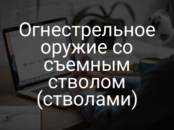 Огнестрельное оружие со съемным стволом (стволами)