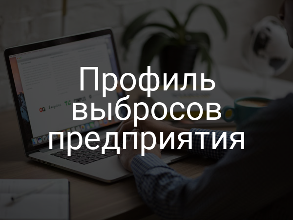 Профиль выбросов предприятия